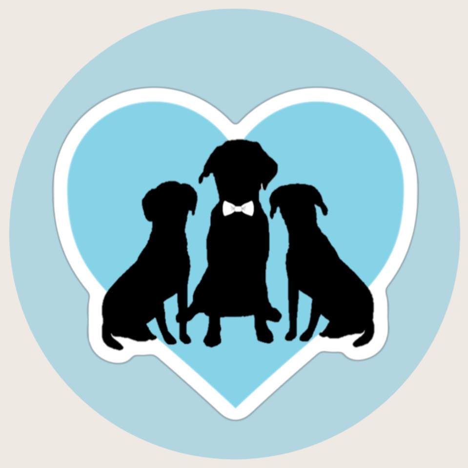 FairyTail Pet Care - Wedding Day Pet Care!