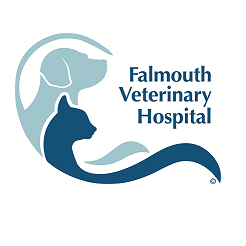 Falmouth Veterinary Hospital