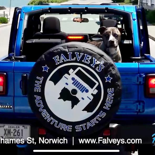 Falvey's Motors