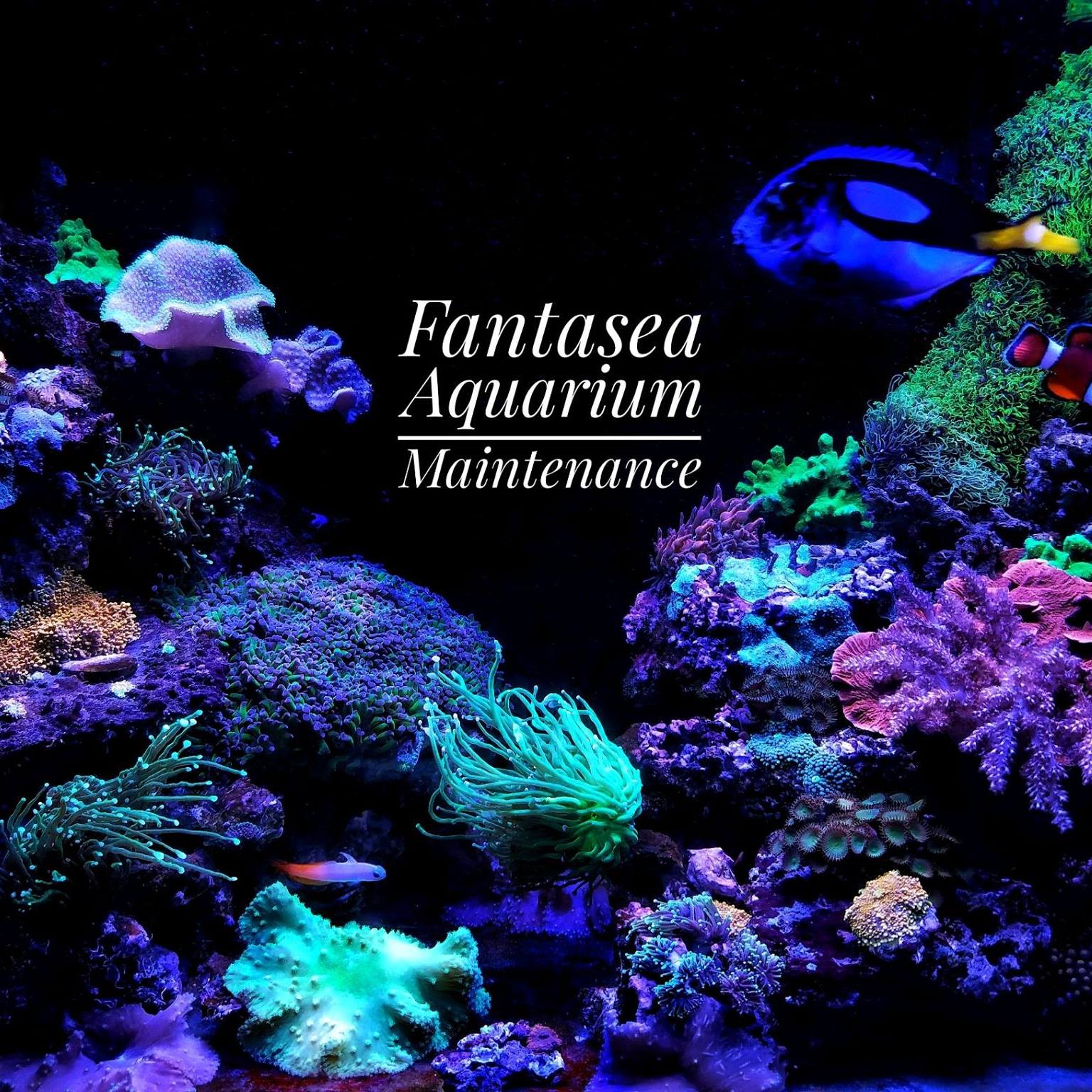 FantaSEA Aquariums