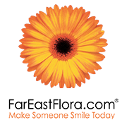 FarEastFlora.com