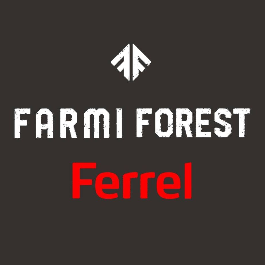 Farmi Forest