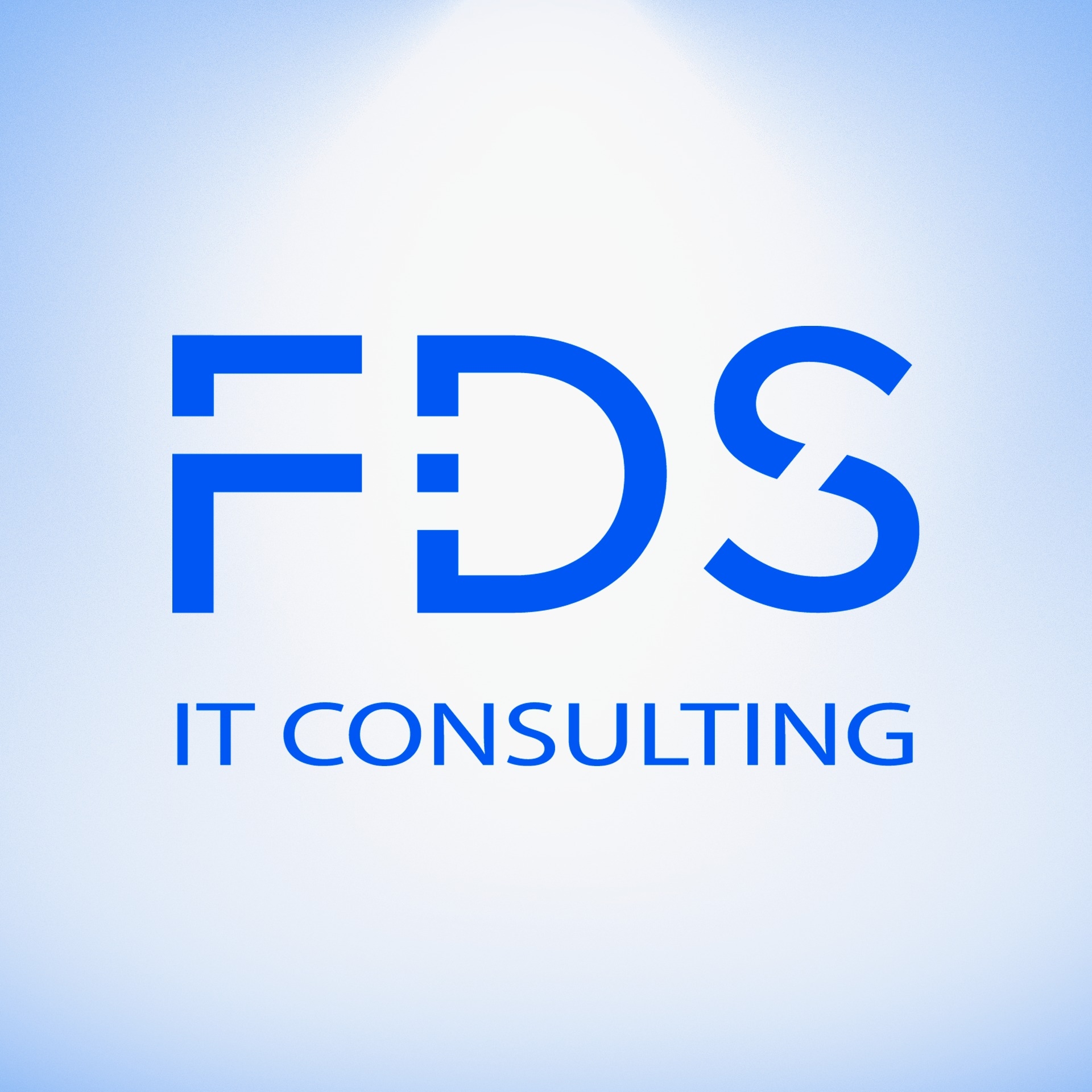 FDS IT Consulting