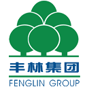 Guangxi Fenglin Wood Industry Group Co.