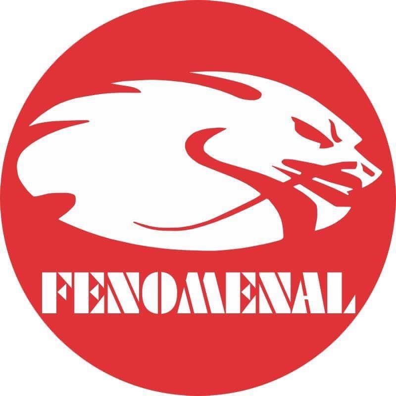 Fenomenal International