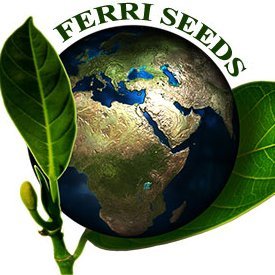 Ferri Seeds