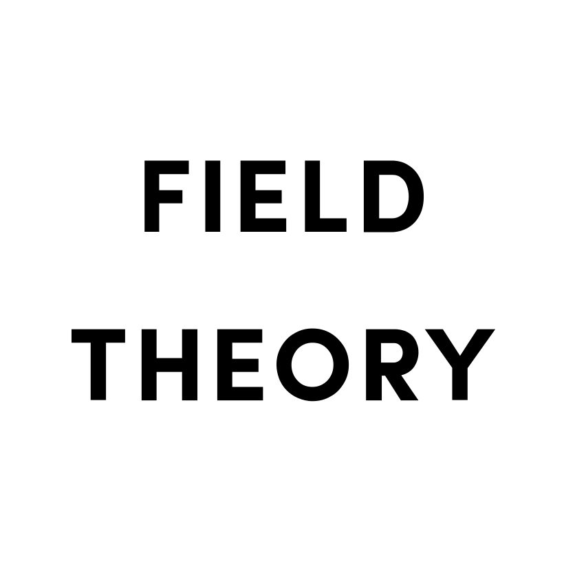 Field Theory