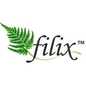 Filix Consulting Pvt