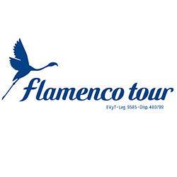 Flamenco Tour Agency