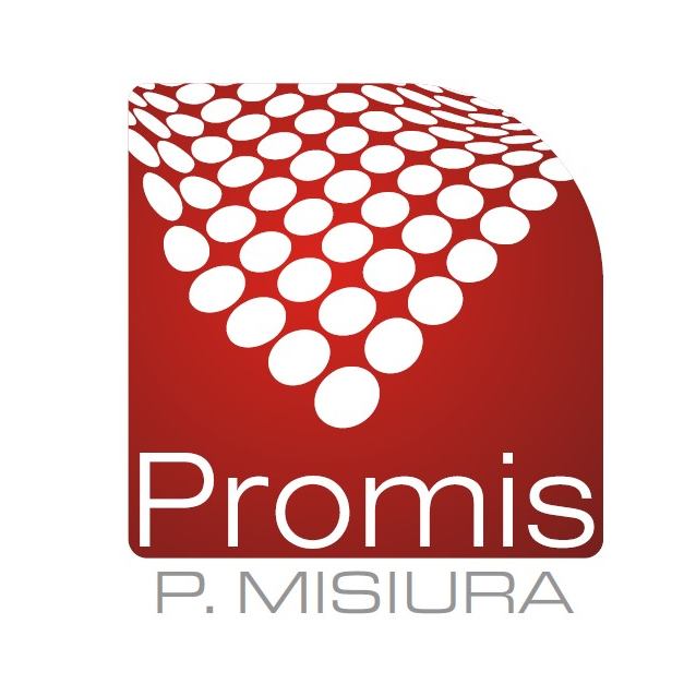 Promis P. Misiura Sp. J.