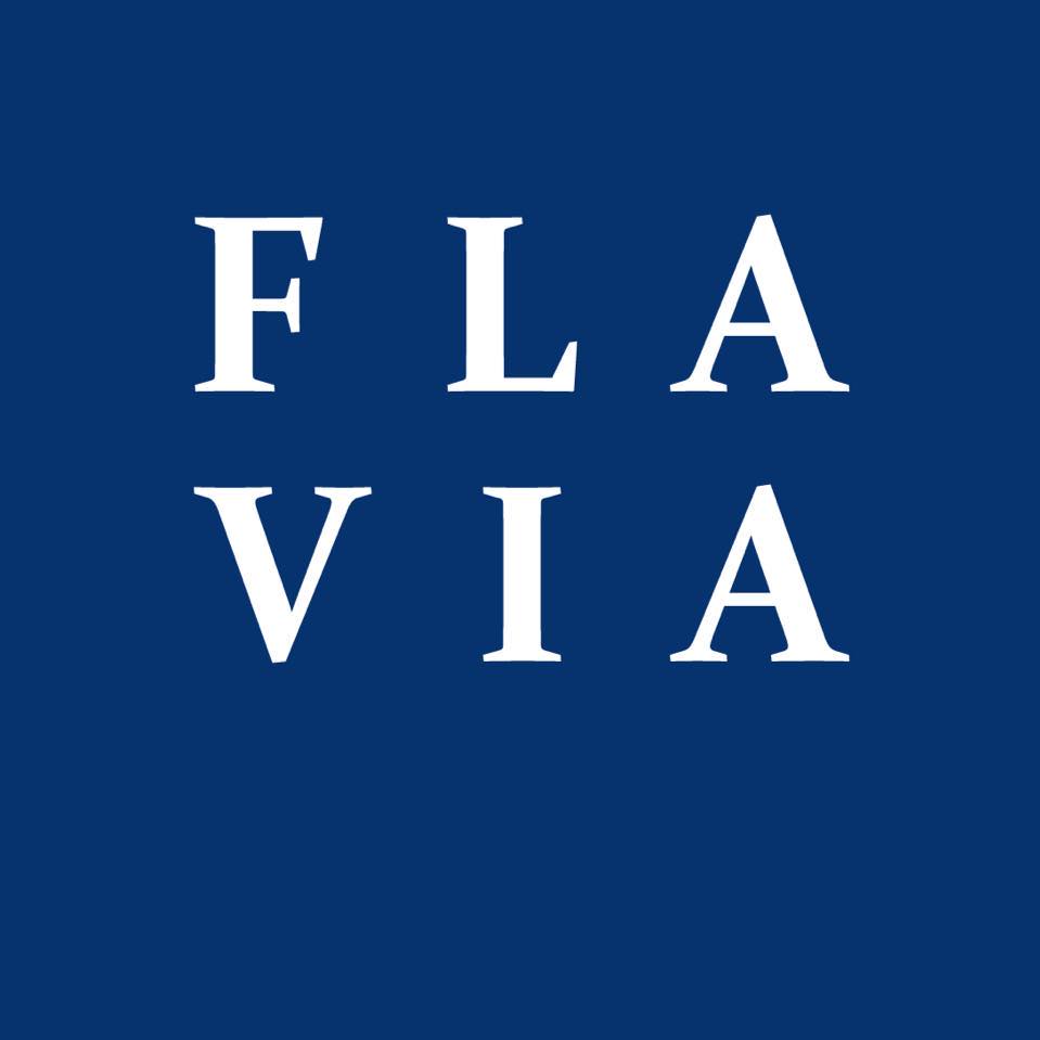 FLAVIA IT-Management