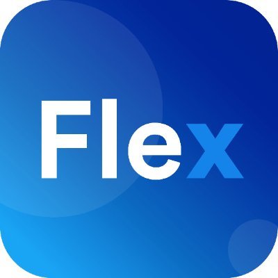 Flex Finance