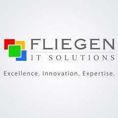 Fliegen IT Solutions