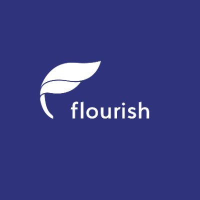 Flourish Ventures Director