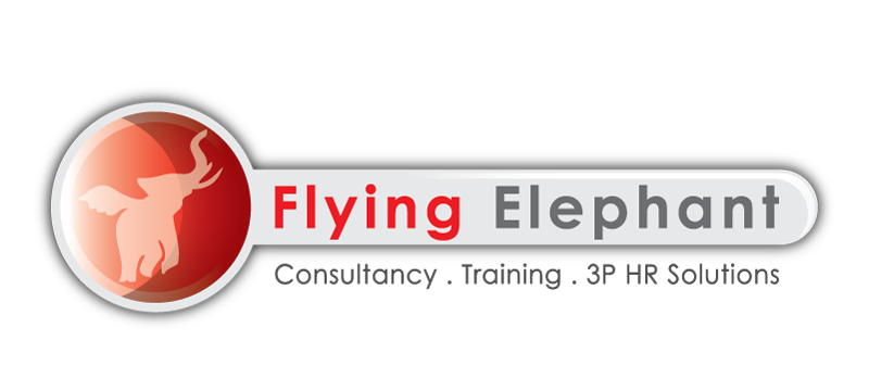 The Flying Elephant Pvt Ltd