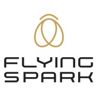 flyingSPARK