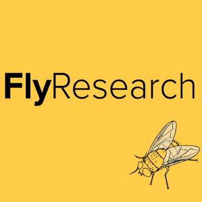 Fly Research