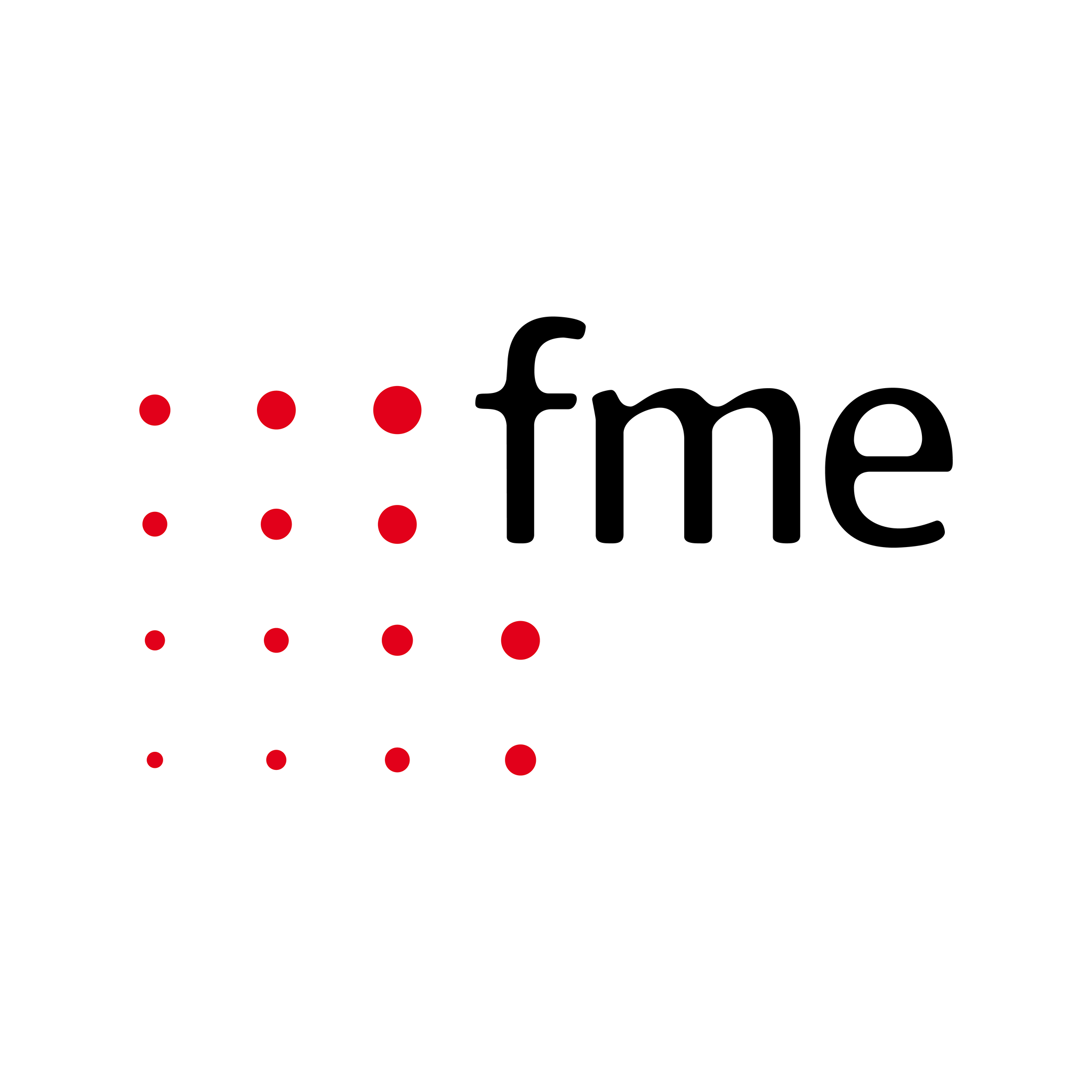 Fme Srl