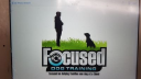 Focused Dog Training