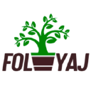 Foliyaj