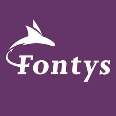 Fontys University