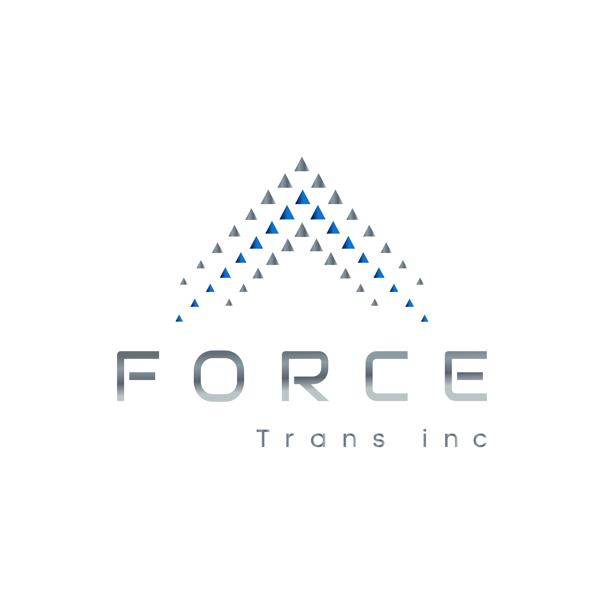 Force Trans Inc.