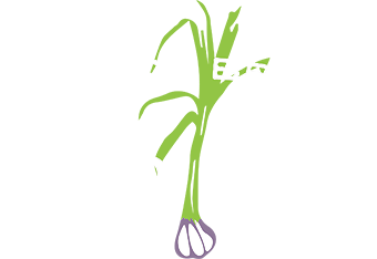 French Broad Food Co+Op