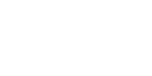 Friese Media