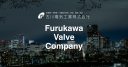 Furukawa Electric