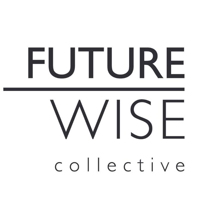 FutureWise Consulting