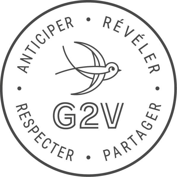 G2V Services