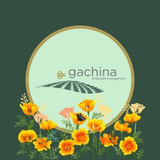 Gachina Landscape Management