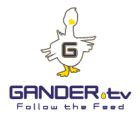 Gander