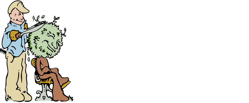 Garden View Landscape