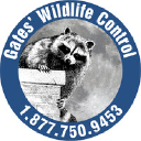 Gates Wildlife Control