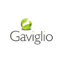 Gaviglio Comercial