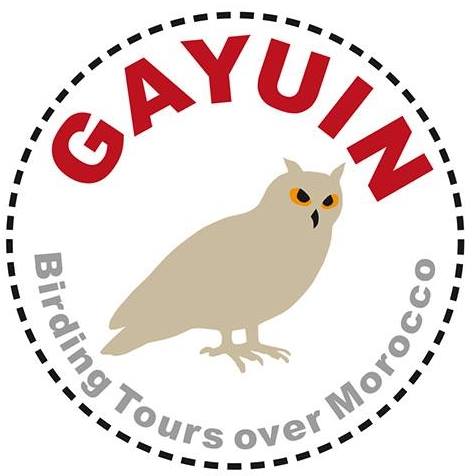 Gayuin Birding Tours