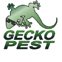 Gecko Pest Management