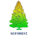 Geforest