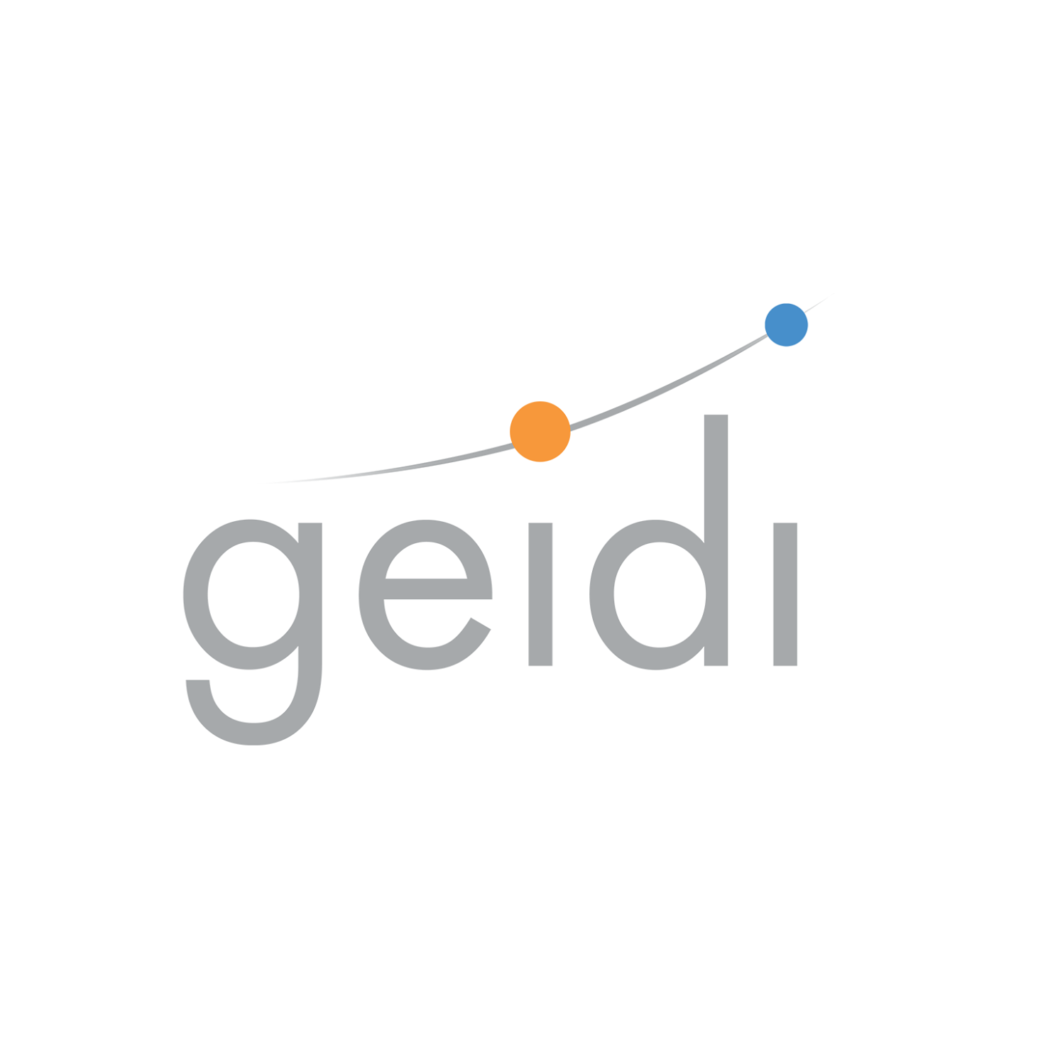 Geidi IT Services