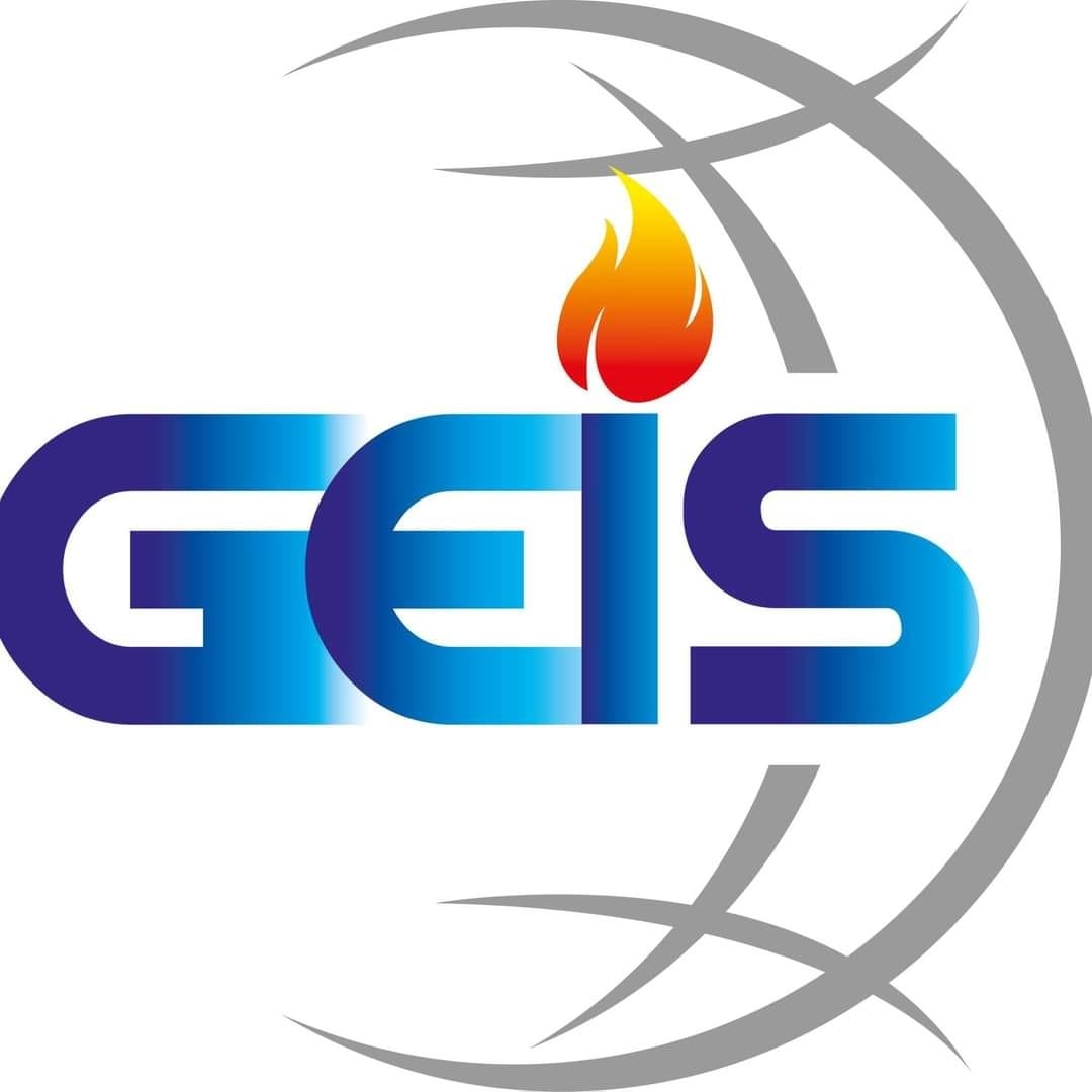 Global Electricity And Instrumentation Services