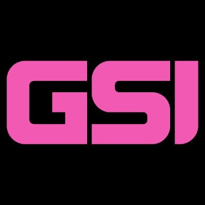 Geisel Software, Inc.