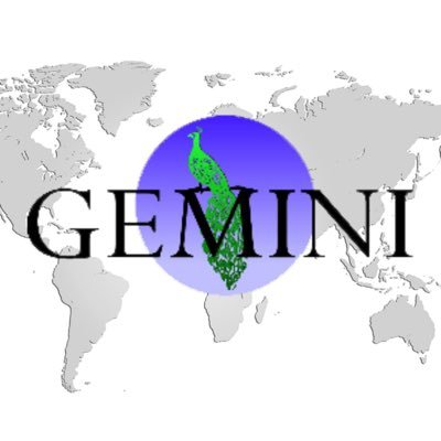 Gemini Corporation N.V.