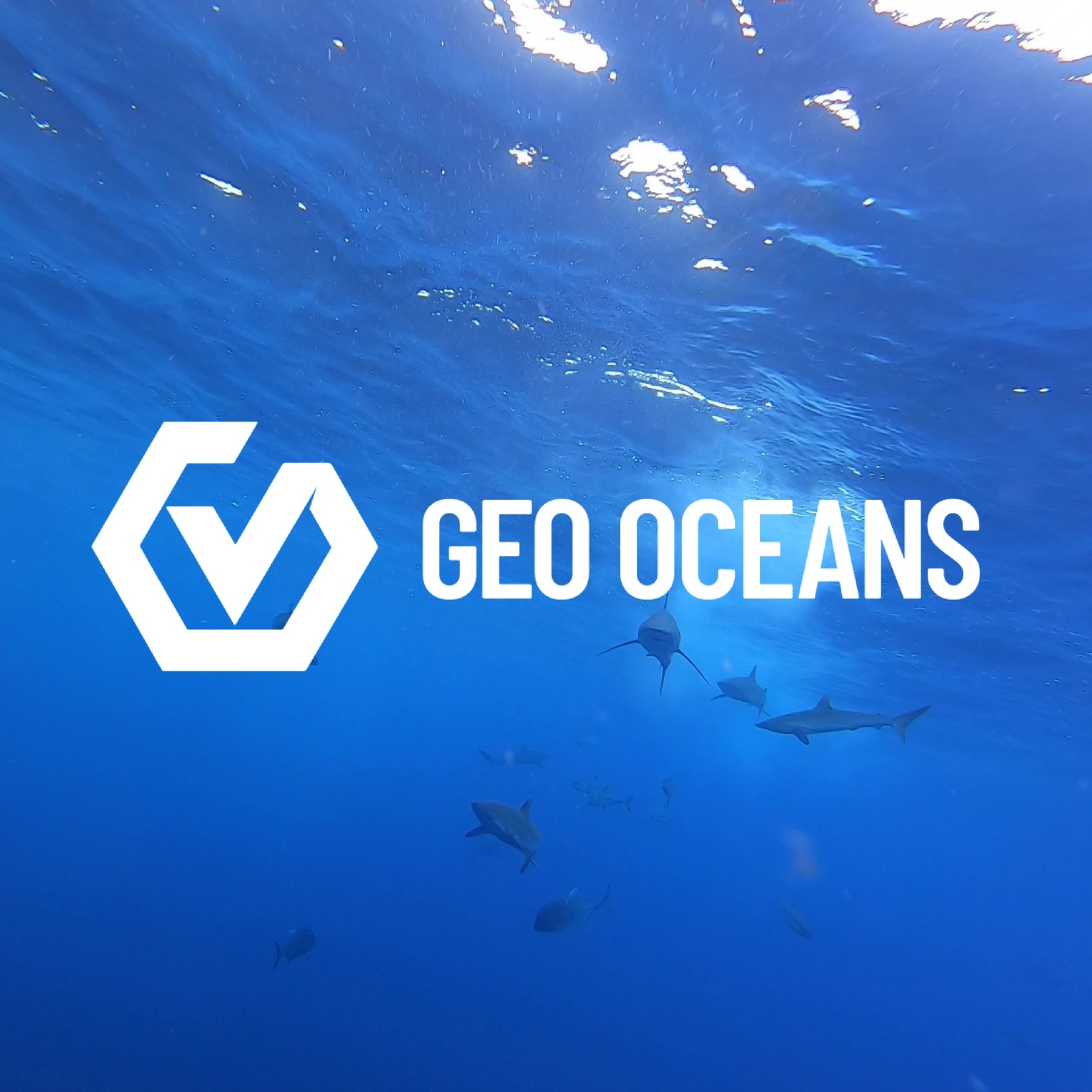 Geo Oceans