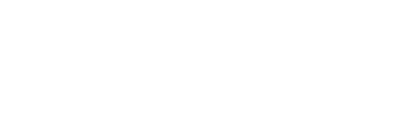 Basis