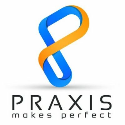 Praxis Llc