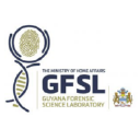 The GFSL