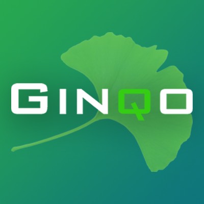 GINQO Consulting