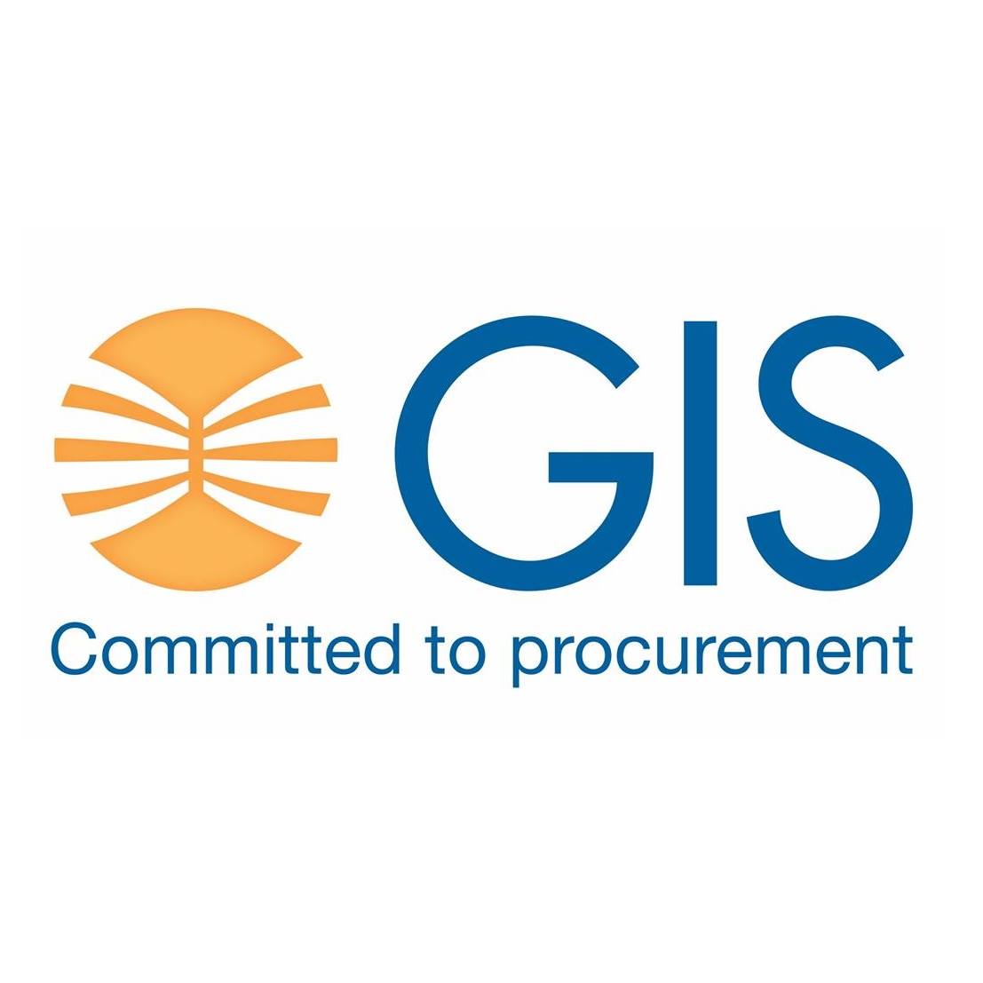 GIS International