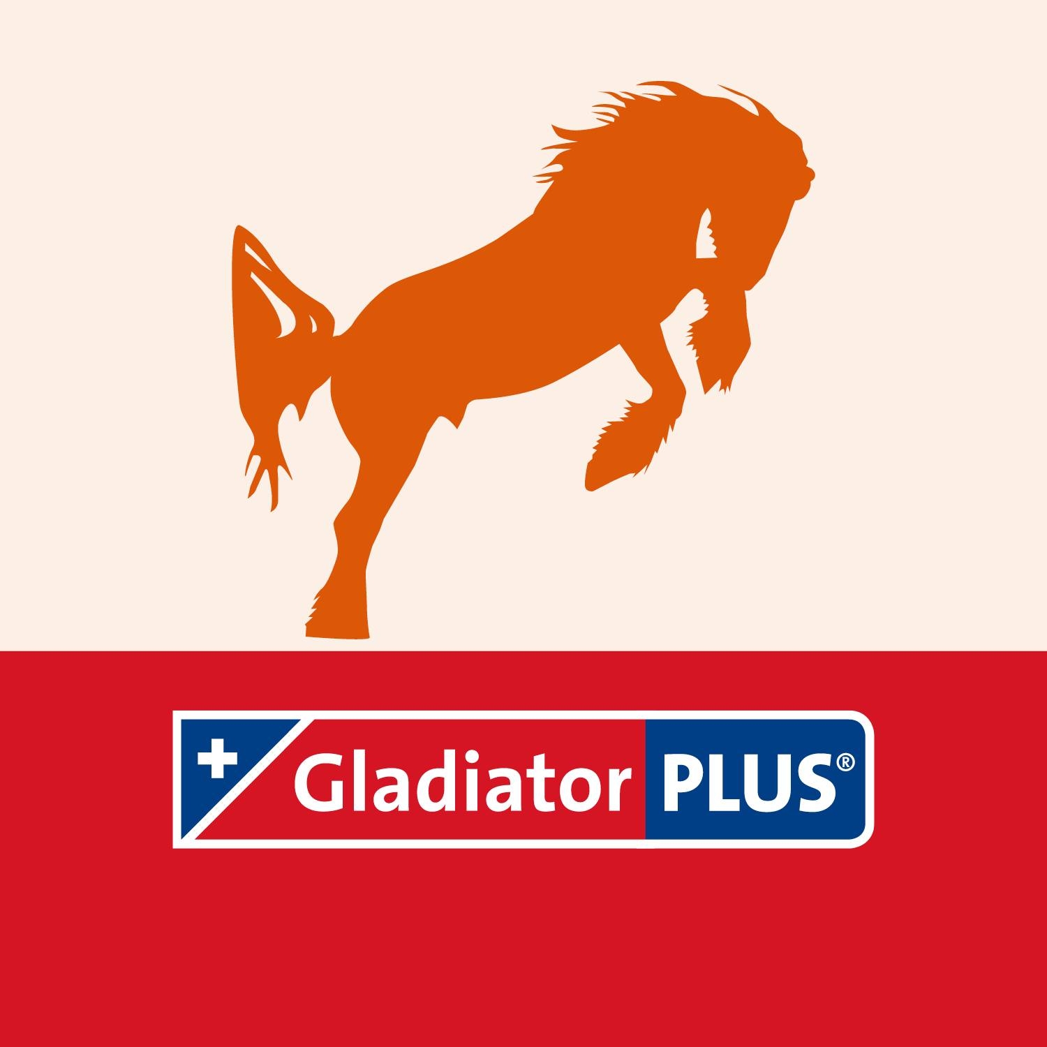 GladiatorPLUS